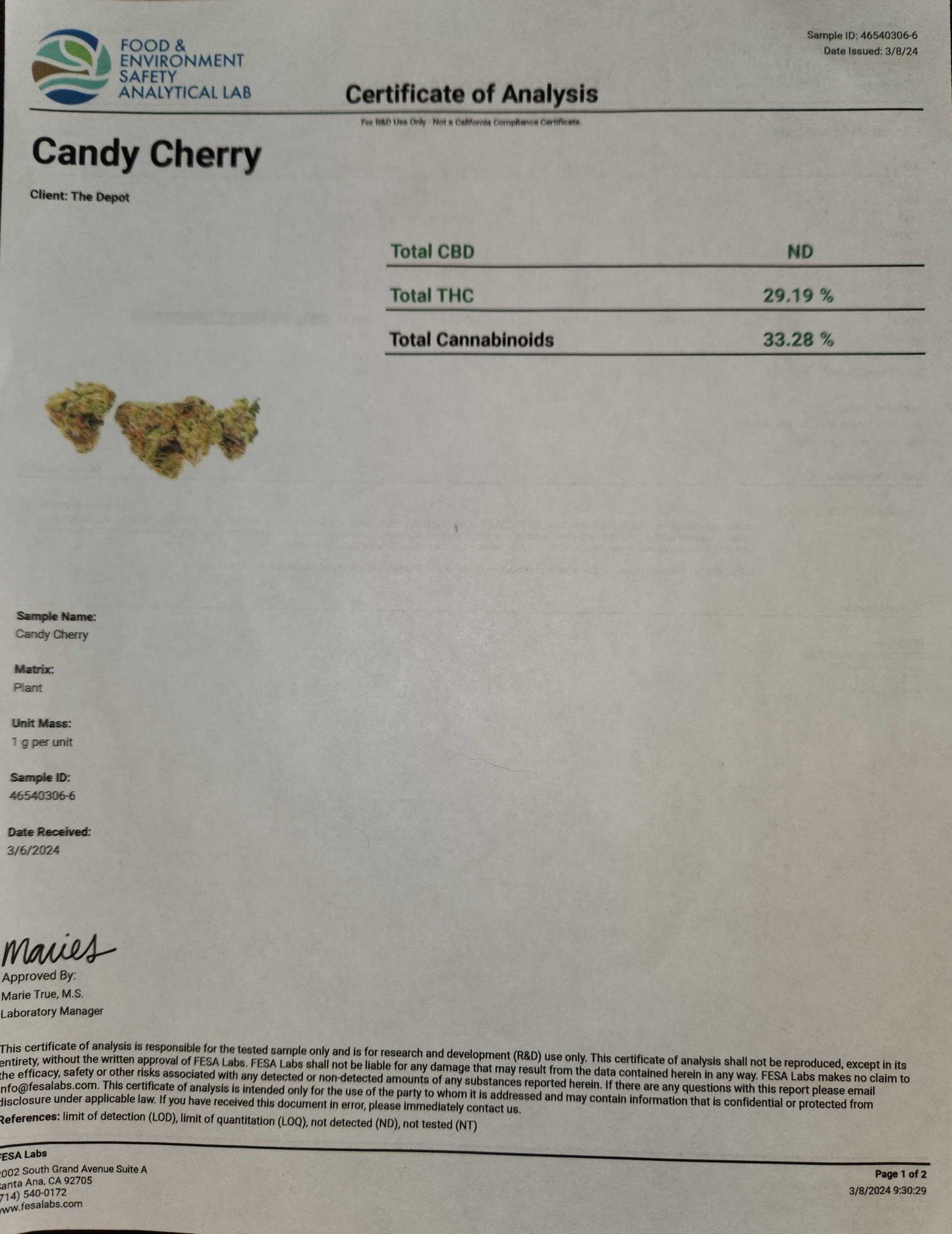 Luxury Craft - THCa