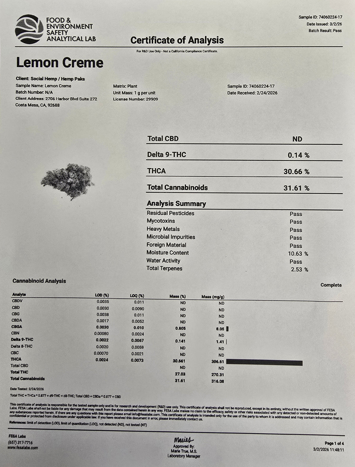 Luxury Craft - THCa