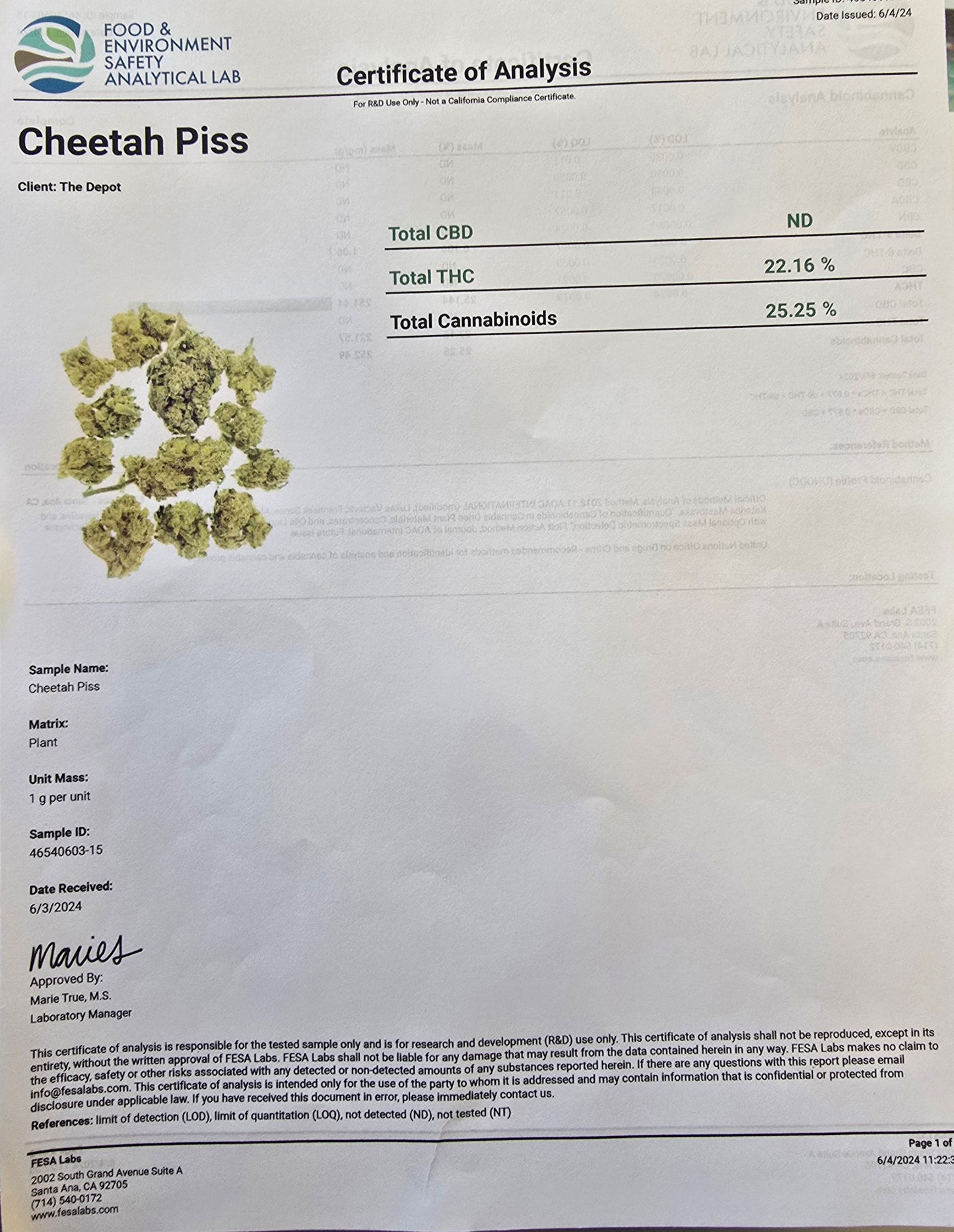 Luxury Craft - THCa